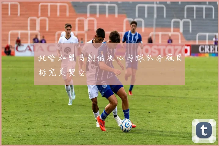 托哈加盟马刺的决心与球队夺冠目标完美契合