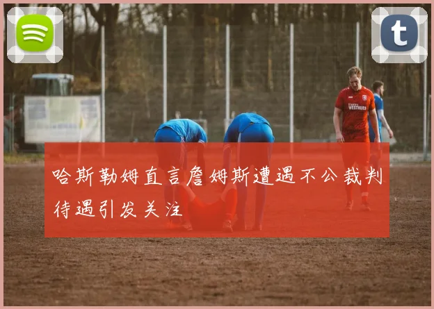 哈斯勒姆直言詹姆斯遭遇不公裁判待遇引发关注